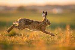 Vivere la vita: spettatori o protagonisti?